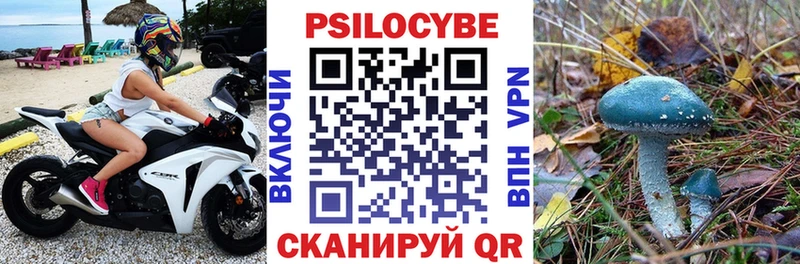 Псилоцибиновые грибы мухоморы  Спас-Клепики 